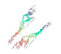 QccHieUs 2 Car Body Side Stickers, Car Decal, Car Hood Sticker, Motorhome Decal, Colorful