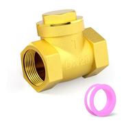 QCDENG 1PCS DN20 3/4" Female Thread Horizontal Swing Check Valve, Brass One Way Check Valves Prevent the Medium Backflow for Water Gas Air