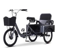 QCKNKMGG Three-Wheeled Bicycle Folding Adult Tricycle 20-inch Multicolor with Foldable Cover Seat Adjustable Post(Dark Grey)