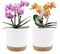 QCQHDU 20cm Plant Pot, 2 Pack Planters for Indoor Plants with Drainage Holes & Saucer, Outdoor Flower Pots Home Garden Modern Decor (White, 20cm)