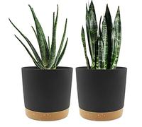QCQHDU 20cm Plant Pot, 2 Pack Planters for Indoor Plants with Drainage Holes & Saucer, Outdoor Flower Pots Home Garden Modern Decor (Dark Grey, 20cm)