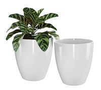 QCQHDU 25.4Plant Pots Set of 2 Pack,10 Inch Plant Pot for Indoor and Outdoor Plants with Drainage Hole,Flower Pots Modern Decorative Planter for All House Garden Plants and Succulent,Flowers (White)