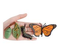 QCSTORE Growth Cycle Model Realistic Life Cycle Animal Models Educational Toy for Kids Safe Non- Plastic Material for Storytelling, Teaching and Learning Tool (#2)