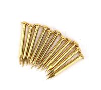 Qcwwy 100Pcs Upholstery Tacks Brass Round Head Brad Nails Decorative Antique Pin Set for Woodworking and Crafting Projects Rivet Tool (22mm Long Thickened)