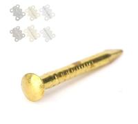 Qcwwy 100Pcs Upholstery Tacks Brass Round Head Brad Nails Decorative Antique Pin Set for Woodworking and Crafting Projects Rivet Tool (15mm Long)