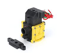 Qcwwy 12V Diaphragm Pressure Pump for Garden, Electric Sprayer Water Pump, Type A Intelligent Start Stop Water (ASmart Start and Stop Single Thread)