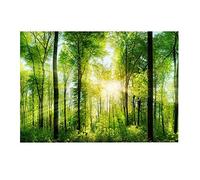 Qcwwy 3D Effect Forest Poster, PVC Modern Aquarium Forest Pattern Sticker with Self Adhesive Desktop Tanks Poster Suitable for Aquarium Fish Tank Decorations (61 * 41cm)