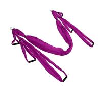 Qcwwy Aerial Yoga Swing Set, Strong Yoga Hammock Trapeze Sling for Inversion Exercises, with Adjustable Straps and Polyester Cotton Material, for Indoor and Outdoor Fitness (Purple)