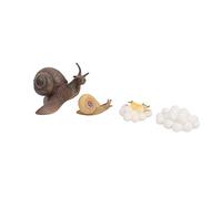 Qcwwy Educational Snail Life Cycle Model Toy, Growth Development Learning Toy for Children, Kids, Toddlers Science Fundamentals Kit