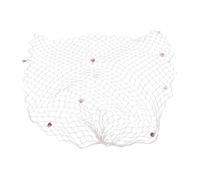 Qcwwy Fish Net Decoration,Wall Hanging Fishing Net Decor Photo Display Wall Decoration with Shells Photographing Background Decoration for Ocean Nautical Themed Party Decor