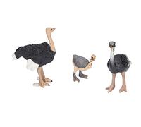Qcwwy Hand Painted Ostrich Toy Small Required Handicrafts Animal Statutes for Children Zoo Animal