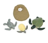 Qcwwy Life Cycle Animal Learning Model Set, 4 Part Educational Toy for Toddlers, Highly Detailed Simulation Science Fundamentals Kit (#2)