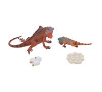 Qcwwy Lifelike Iguana Growth Life Model Set, Early Education Toy for Children, PVC Plastic Animal Figures