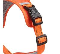 Qcwwy Reflective Adjustable Dog Harness Leash with Double D Ring and Breathable Mesh for Safe Night Walks and Pet Travel Outdoor (XL)