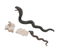 Qcwwy The Set of Educational Toys on Snake Figurine Stimulates Interest in Animal Growth Stages for Children's Learning equipment: PVC