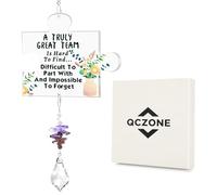 QCZONE Crystal Sun Catcher Colleague Gift - Acrylic Pendant with Engraved Message Leaving Gift for Valued Colleague Best Wishes Present Coworker New Job