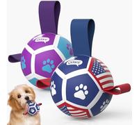 QDAN 2 Pack Small Dog Toys, Puppy Balls, Dog Balls with Straps for Small Breed, Soccer Ball for Dogs, Puppy Toys, Dog Birthday Gift (3.5 Inch)