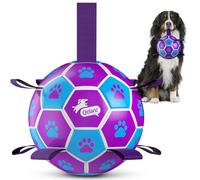 QDAN Big Dog Toys, Large Herding Ball for Dogs Large, Outoor Soccer | 9 Inch Soccer Ball with Tabs for >90 lbs Dogs, Durable Balls for Aggressive Chewers, Herding Ball to Keep Them Busy, Purple