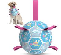 QDAN Dog Birthday Toys, Soccer Ball for Dogs with Straps, Dog Ball Toy, Puppy Birthday Gifts, Durable Herding Balls for Medium Large Dogs (8 inch)