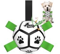 QDAN Dog Toys Balls with Bell Inside, Squeaky Dog Balls for Tug of War, Puppy Birthday Gifts, Dog Water Toys, Ball for Small Dogs(Black Green, 5 inch)