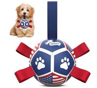 QDAN Dog Toys Puppy Balls, Soccer Ball with Straps, Durable Dog Balls for Small Dogs (5 Inch)