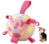 QDAN Interactive Dog Toys, Remote Control, Rechargeable Moving Dog Balls, Puppy Toys to Keep Them Busy, Squeaky Puppy Toys for Small Medium