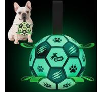 QDAN Premium Dog Ball, Glow in The Dark Dog Toys, Light Up Soccer Ball for Dogs, Outdoor Dog Toys, Doggy Water Toy, Puppy Birthday Gifts for Small Medium (6 Inch)