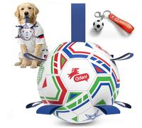 QDAN World Cup Soccer Ball for Dog, 8 Inch Dog Balls with Straps for Interactive, Tug and Training, Indoor Outdoor Toys for Medium & Large Dogs, 2026 Herding Ball