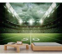 QDJKBL American Football Field Mural Large Rugby Field Wall Murals Stadium Background Mural Playroom Decoration Athletic Theme Room Hd Printing Wallpaper 250 x 175 cm