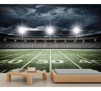 QDJKBL Football Stadium Mural Kids Room Sports Mural Sports Themed Wall Decal Large Stadium Wallpaper Green Field Murals for Bedroom Living Room Photo Wallpaper 500 x 317 cm