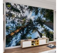 QDJKBL Fresh Forest Natural Scenery Wall Murals Spring Blue Sky White Clouds Tree Branches Photo Wallpaper Wall Decor Colorfast Fill Wall Holes for Girls Room Farmhouse - 300 x 210 cm