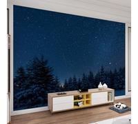 QDJKBL Starry Sky Meteor Night Scene Photo Wallpaper Forest Natural Scenery Art 3D Wall Mural Wall Paper Decor Fill Wall Holes Easy to Install for Girls Room Farmhouse Office - 150 x 100 cm
