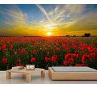 QDJKBL Sunset Landscape Mural Wallpaper Poppy Field Wall Mural Vibrant Sunset Floral Rural Scenery Red Flowers Murals for Bedroom Kitchen Dining Room No Foaming 200 x 140 cm