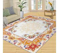 QDJKBL Vintage Paisley Rugs Colorful Paisley Area Rug Vintage Ornate Multicolor Rug Watercolor Bohemian Floral Rugs for Bedroom Bright Color Carpet With Non-Slip Backing 100x150 cm