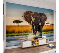 QDJKBL Wild Elephant Mural African Wildlife Wallpaper Large Elephant Mural for Living Room Sunset Grassland Landscape Murals for Bedroom Kitchen Dining Room 150 x 100 cm