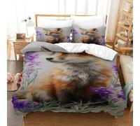 QDZHCPMYK Foxes on The Grassland Duvet Cover Sets 3 PCS Hotel Quality Quilt Cover Bedding Set Bed Covers with Pillowcases with Zipper Closure Ultra Soft Anti Allergic Microfiber Single（140x200cm）