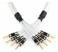 QED GENESIS Silver Spiral Bi-Wire 2×1m (Pair) Speaker Cable Terminated