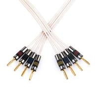 QED Original MK2 Biwire Speaker Cable, 1 Metre, Compatible with Amplifier, Receiver, Speaker