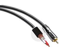 QED Performance Subwoofer Lead 6.0M