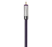 QED Reference Digital Audio 40 Lead - 3.0M