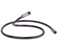 QED Reference Digital Audio 40-0.6m