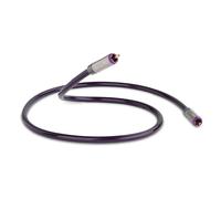 QED Reference Digital Audio 40 Lead 3.0m