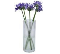 QEEYON Clear Glass Cylinder Vase 25cm Tall Modern Glass Thickened Crystal Vase for Flowers Floral Arrangement for Centerpieces Living Room, Kitchen, Office, Wedding (25 x 12cm)