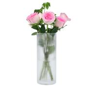QEEYON Clear Glass Cylinder Vase 30cm Tall Large Modern Glass Thickened Crystal Vase for Flowers Floral Arrangement for Centerpieces Living Room, Kitchen, Office, Wedding (30 x 12cm)
