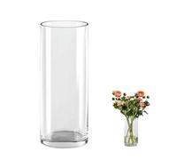 QEEYON Glass Cylinder Vase 25cm Tall Large Glass Thickened Crystal Vase for Flowers Floral Arrangement for Centerpieces Living Room, Kitchen, Office, Wedding (25 x 10cm)