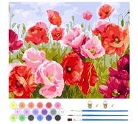 QENSPE Flower Paint by Numbers for Adults and Beginner, Red and Pink Painting by Number Kits On Canvas, Frameless DIY Color Oil Painting Acrylic Paints, Home Wall Decor 40x50cm/16x20in