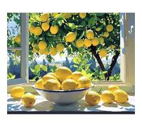 QENSPE Paint by Numbers for Adults - 16x20 Inch Lemon Paint by Numbers Canvas Kits for Students Beginner Without Frame, Window Acrylic Oil Painting DIY Craft for Gift Home Wall Decor