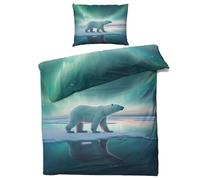 QEODAH Polar Bear Duvet Cover Double - Aurora Borealis Bedding Set of 3 - Reversible Printed Quilt Cover and 2 Pillowcases - 110gsm Soft Brushed Microfiber Bed Set with Zipper Closure