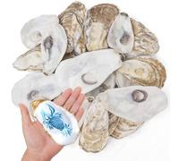 QEQEKAKA 25PCS Flat Oyster Shells 3-5" Medium to Large, Natural, Disk Shaped, Craft Sea Shells for Home Vase Filler, Xmas Ornaments, DIY Arts and Crafts