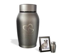 QESSUVNC Ashes Keepsake Urn for Adults, Pets - Small Stainless Steel Waterproof Urn for Dogs, Cats, Humans - UK